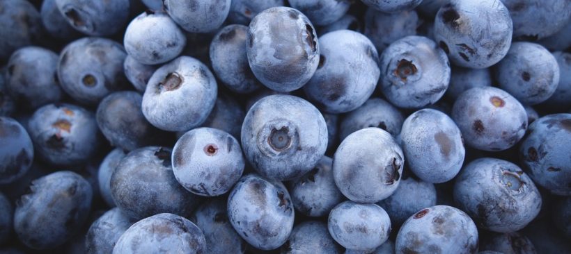 Blueberry Muffin Energy Bites | Juice Plus +