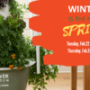 Juice Plus Tower Garden: Grow your own food year-round!